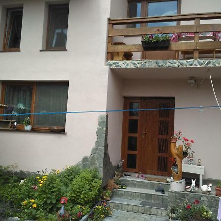 Hotel Casa Teo Ocna Sibiului Esterno foto